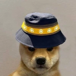 bnb-doge