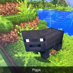 pigga-1
