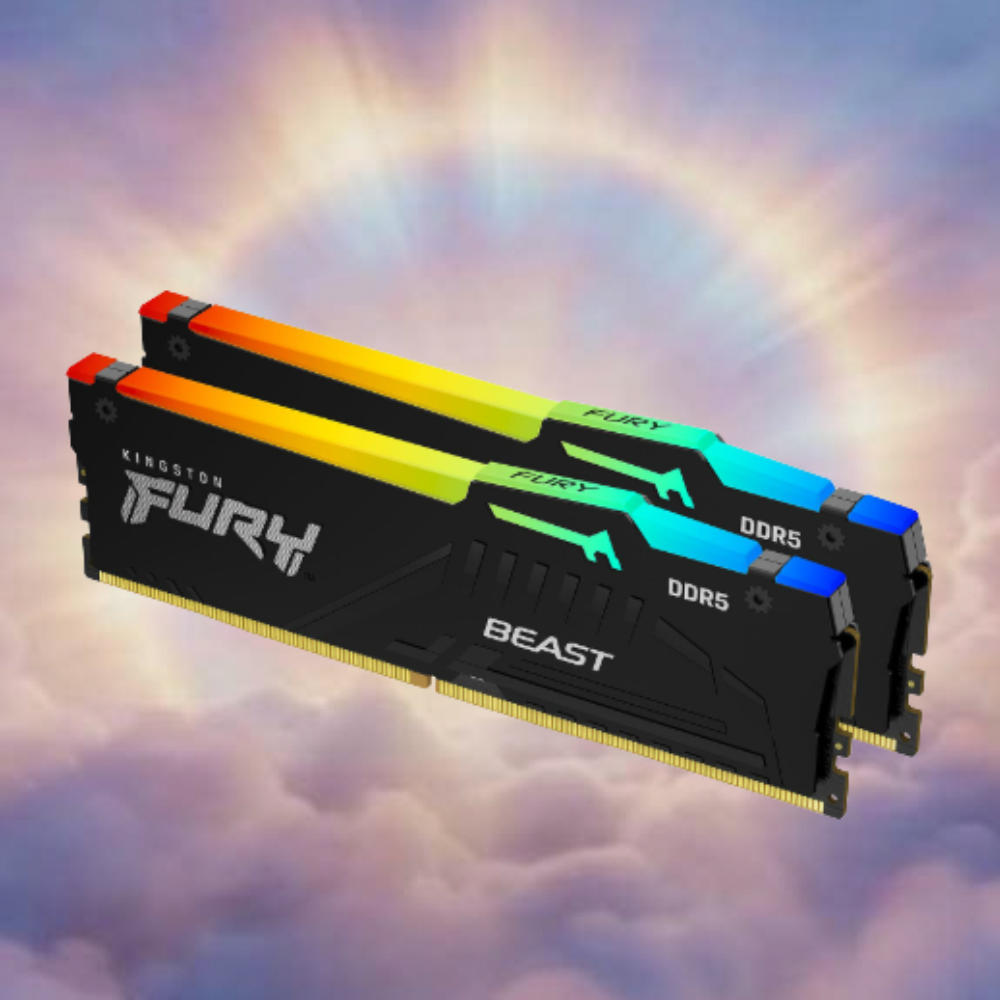 2 Sticks of Ram