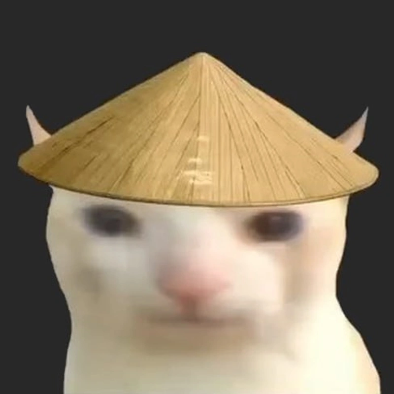 Chinesed Cat