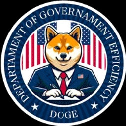 Department of Government Efficiency