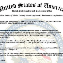 OG Department of government efficiency