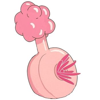 plumbus