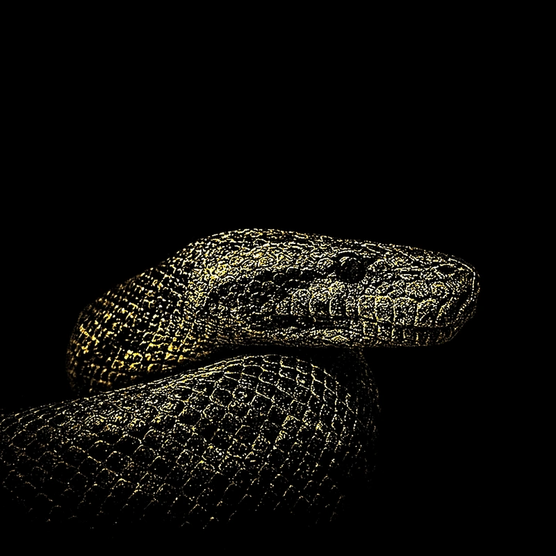 The Snake