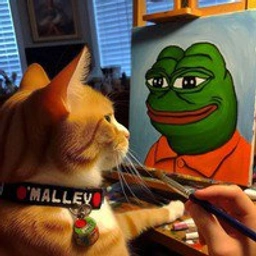 matt-furies-cat-4