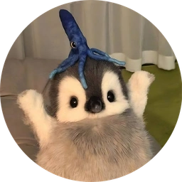 squidy